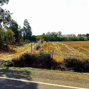 VENTA / Terreno  / 11.650 m² / Linares